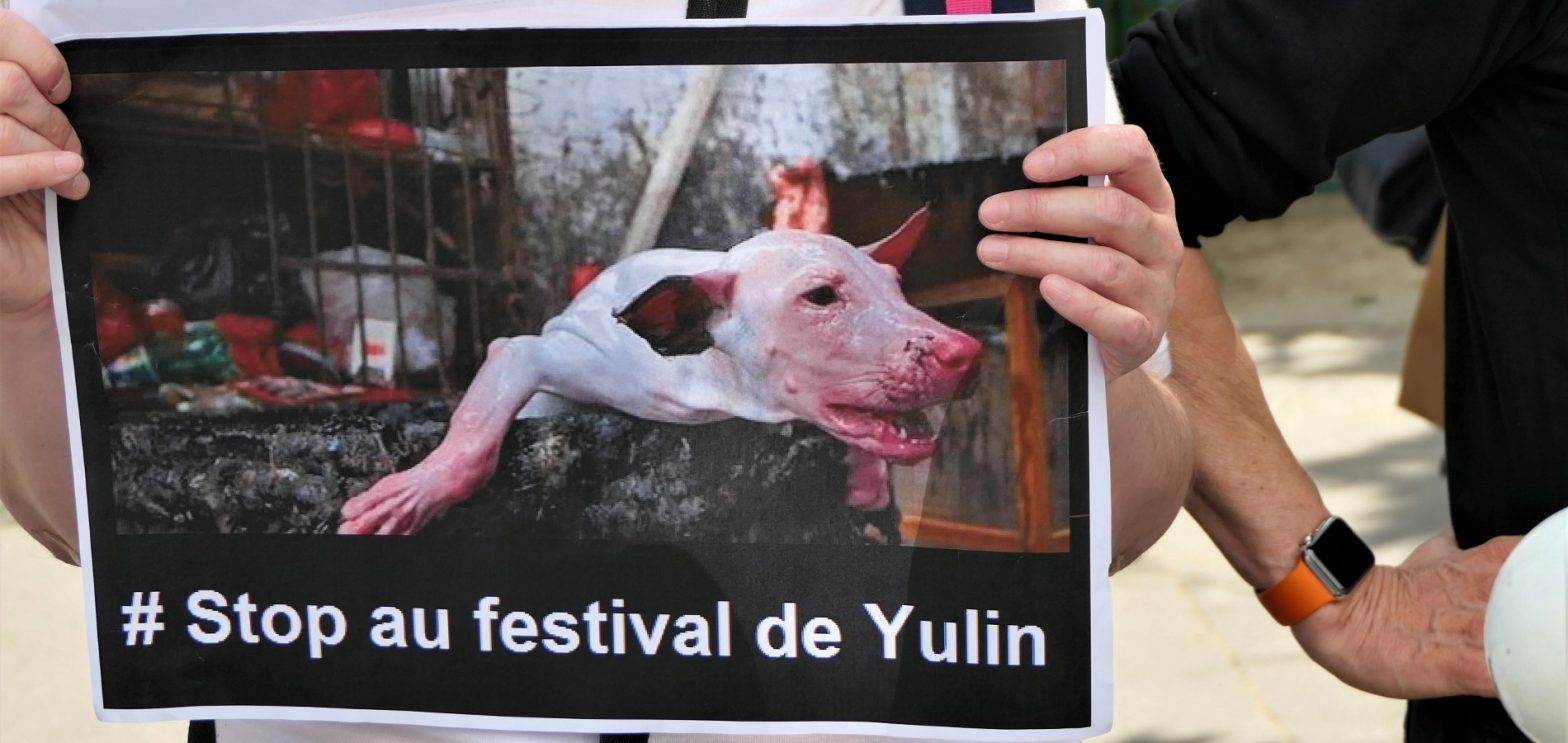 Festival de Yulin (19 juin 2018)