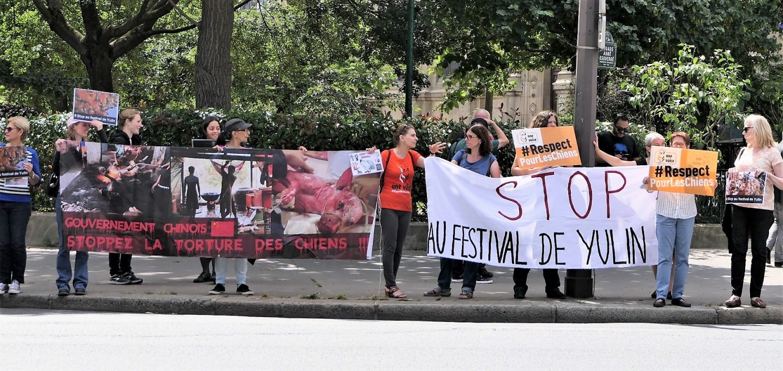 Stop au festival de Yulin ! – 2018